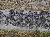 image of grave number 795990